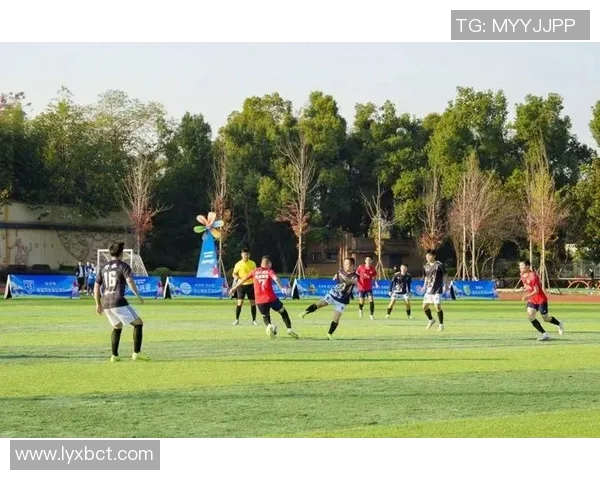 株洲足球盛事来袭足球明星齐聚展现风采与激情