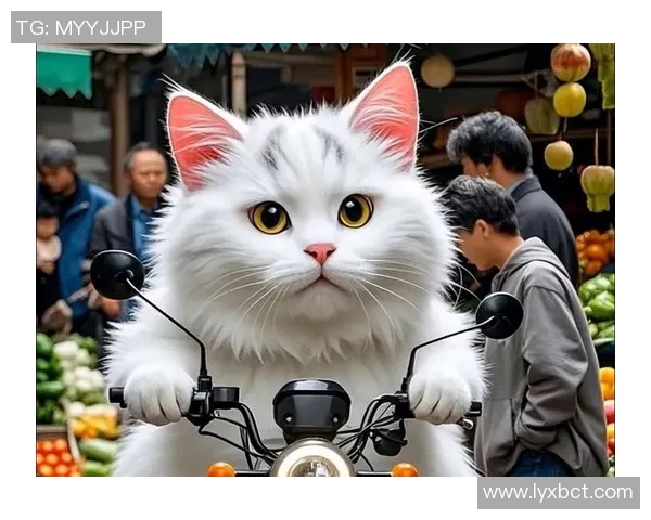猫咪与篮球明星的奇妙互动引发的搞笑故事 猫咪与篮球明星的奇妙互动引发的搞笑故事
